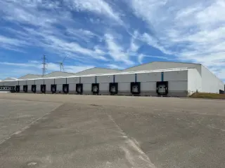 Industrial building for rent Genk (RBU11818)