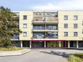 Handelspand te koop Aalter (RBU13064)