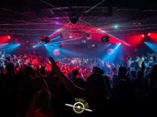 Handelspand te koop Opwijk (RBU14832)