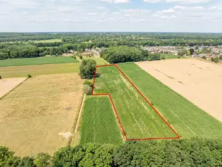 Terrain agricole à vendre Dilsen-Stokkem (RBU15001)