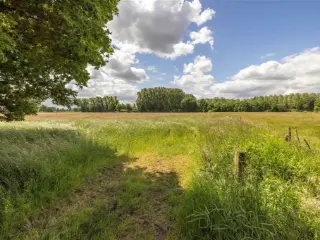 Landbouwgrond te koop Heist-op-den-Berg (RBU15185)