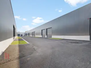 Industrial building for sale Zedelgem (RBU15944)