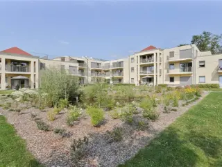 Appartement à louer Lokeren (RBU16141)