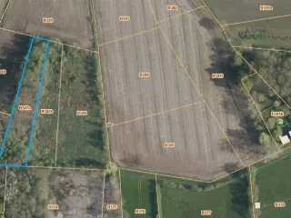 Farmland for sale Veerle (RBU16193)