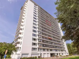 Appartement te koop Hoboken (RBU16522)