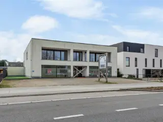 Handelspand te koop Bouwel (RBU16616)