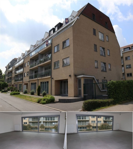 RBU16921