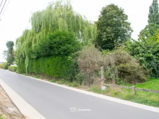 Grond te koop Dilbeek (RBU17073)