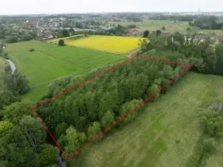 Farmland for sale Hofstade (RBU17316)