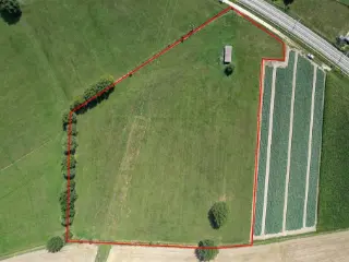 Farmland for sale Hombeek (RBU17337)