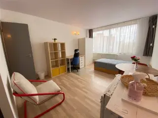 Studio à louer Louvain (RBU17512)