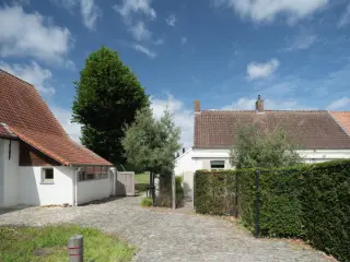 Maison à vendre Audenarde (RBU19253)