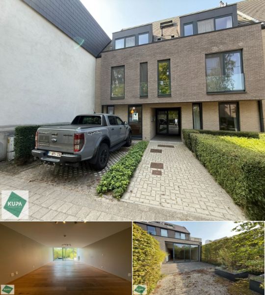 RBU19437