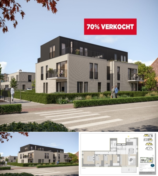 RBU19634