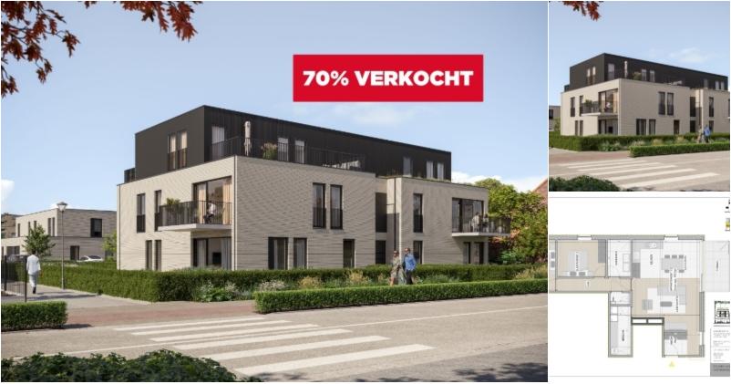 RBU19635