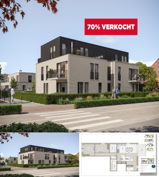 RBU19635