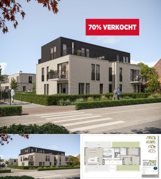 RBU19636