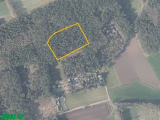 Bos te koop Vorselaar (RBU20491)