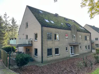 Apartment for rent Sint-Huibrechts-Lille (RBU21351)