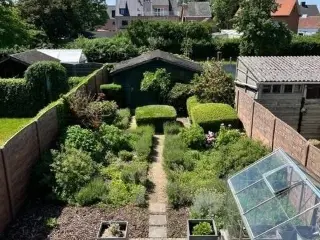 Handelspand te huur Herenthout (RBU21523)