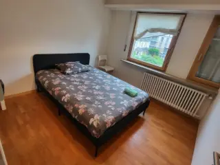 Apartment for rent Luxembourg (RBU22482)