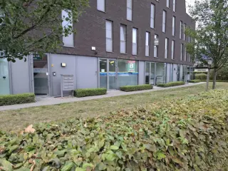 Bureaux à vendre Beringen (RBU23152)