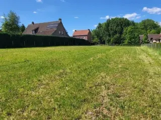 Terrain à vendre Ninove (RBU23647)