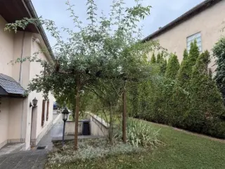 Maison à vendre Dippach (RBU23829)