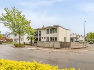 Maison à vendre Hamont (RBU24047)