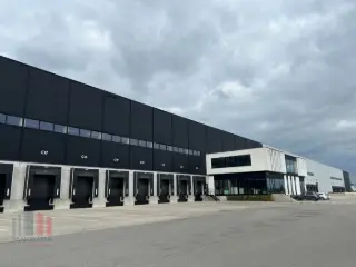 Surface industrielle à louer Genk (RBU24191)