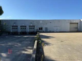 Industrial building for rent Sint-Niklaas (RBU24225)
