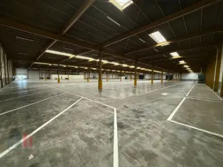 Industrie te huur Sint-Niklaas (RBU24232)