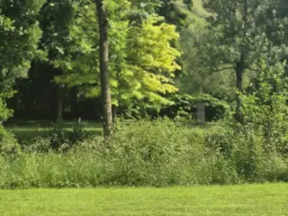 Grond te koop Sandweiler (RBU24682)