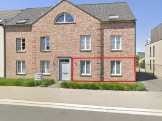 Ground floor for rent Putte (RBU25213)