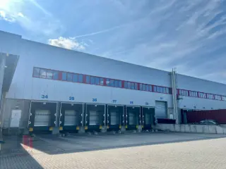 Surface industrielle à louer Genk (RBU25557)