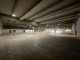 Surface industrielle à louer Dendermonde (RBU25593)