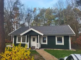 Huis te koop Ruinen (RBU25917)