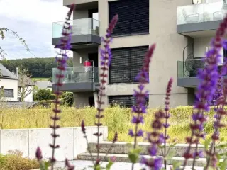 Penthouse for sale Warken (RBU26348)