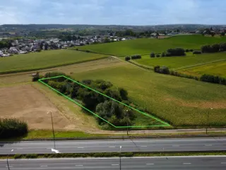 Bos te koop Halle (RBU27322)