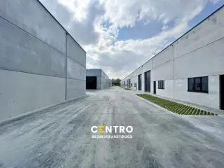 Industrie te huur Waregem (RBU27744)