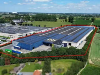 Surface industrielle à vendre Tielt (RBU28405)