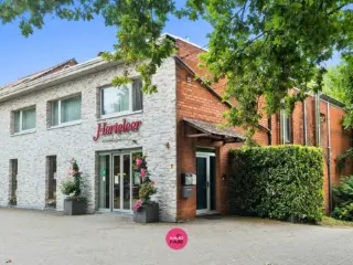 Handelspand te koop Genk (RBU28674)