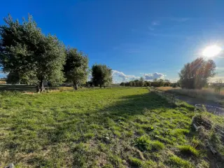 Terrain à vendre Dixmude (RBU28750)