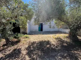 Apartment for sale Castelvetrano (RBU30370)