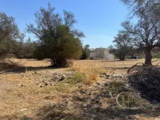 Residence for sale Sivas (RBU30378)