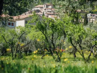 Huis te koop Seillans (RBU30455)