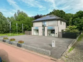 Handelspand te koop Diepenbeek (RBU31069)