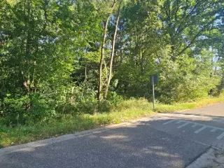 Development site for sale Keerbergen (RBU31212)