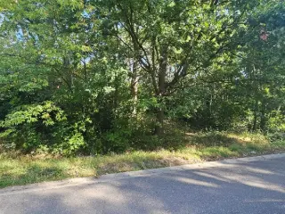 Development site for sale Keerbergen (RBU31213)