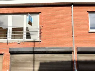 Industrie te huur Hillegem (RBU32440)